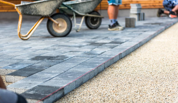 Best Permeable Paver Driveway  in Escobares, TX
